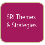 Themes&Strategies-2.png
